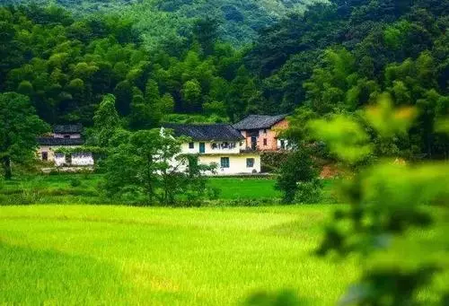 夯實(shí)鄉(xiāng)村振興的治理根基.jpg